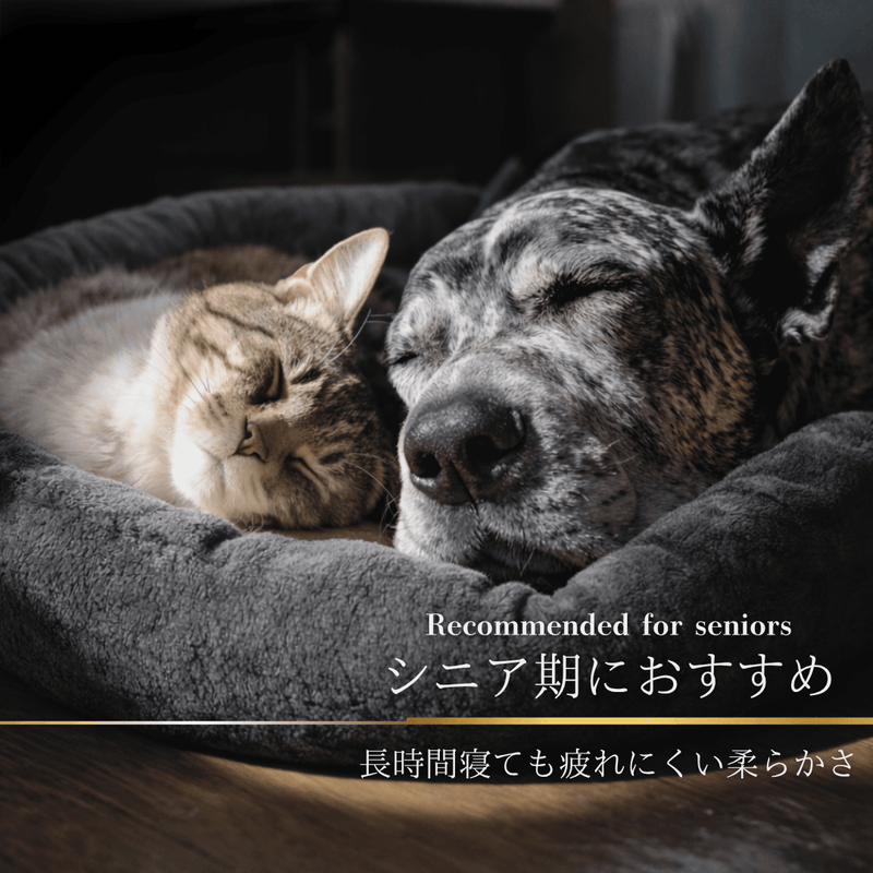 【受注生産】エアリュクスコア：マシュマロクッションメンバー限定 7月発送予定