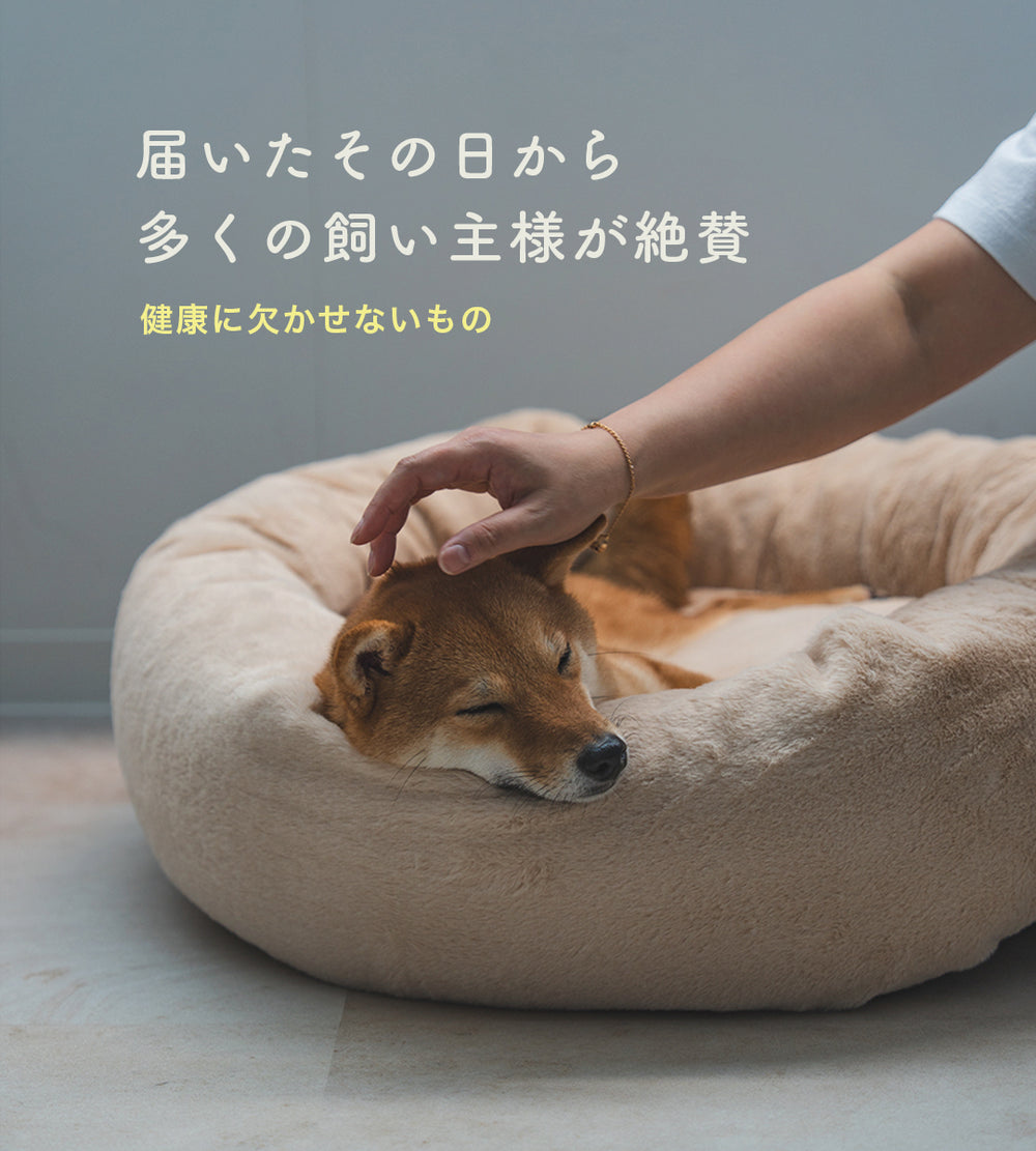柴犬が眠る日本製ペットベッド