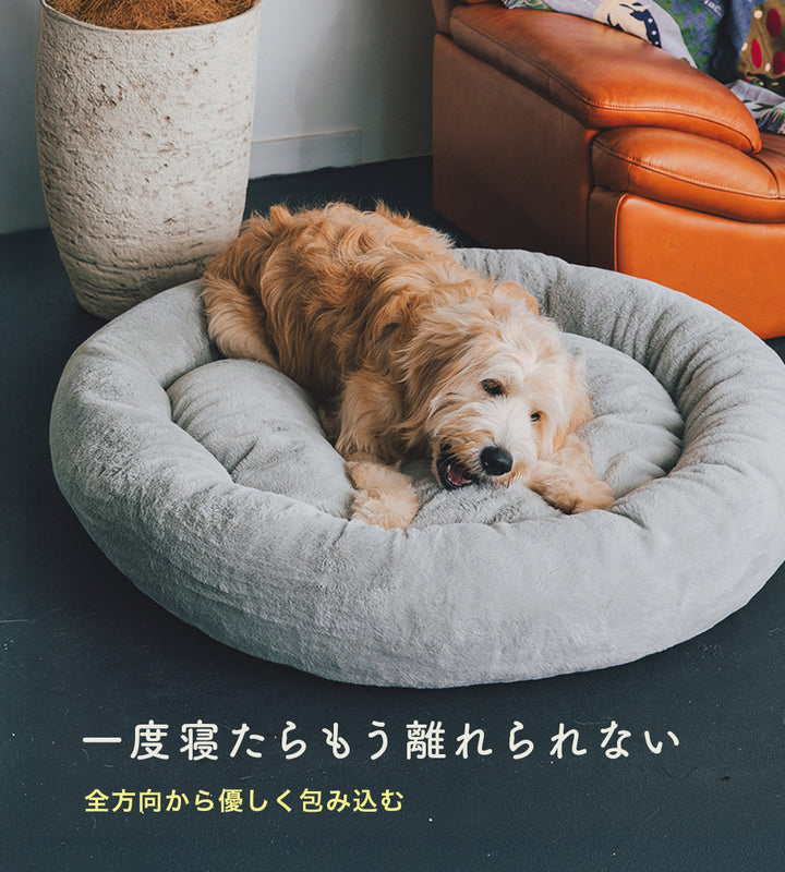 大型犬がくつろいでる