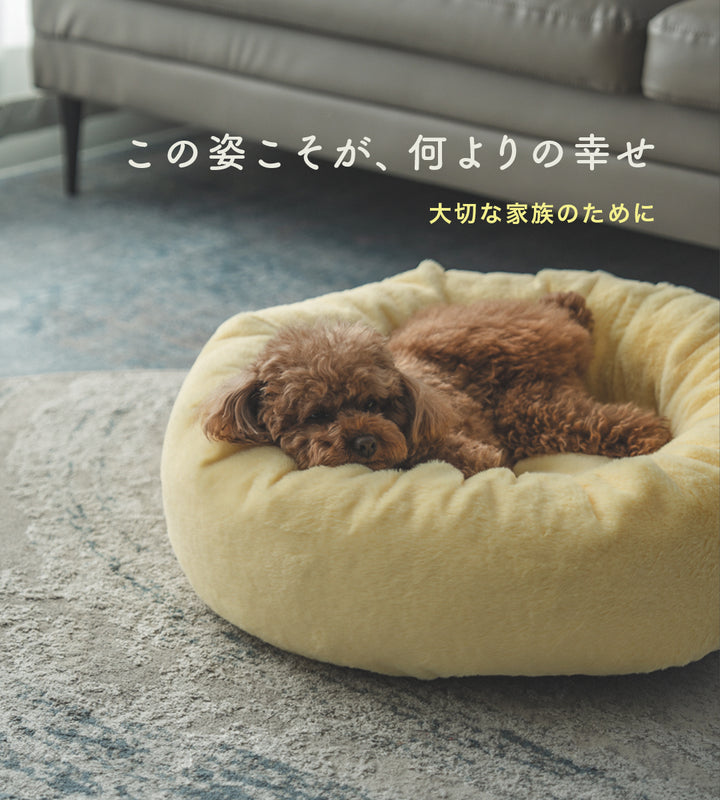 トイプードルが気持ち良さそうにいている