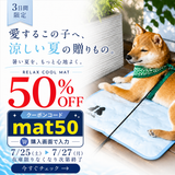 RELAX COOL MAT