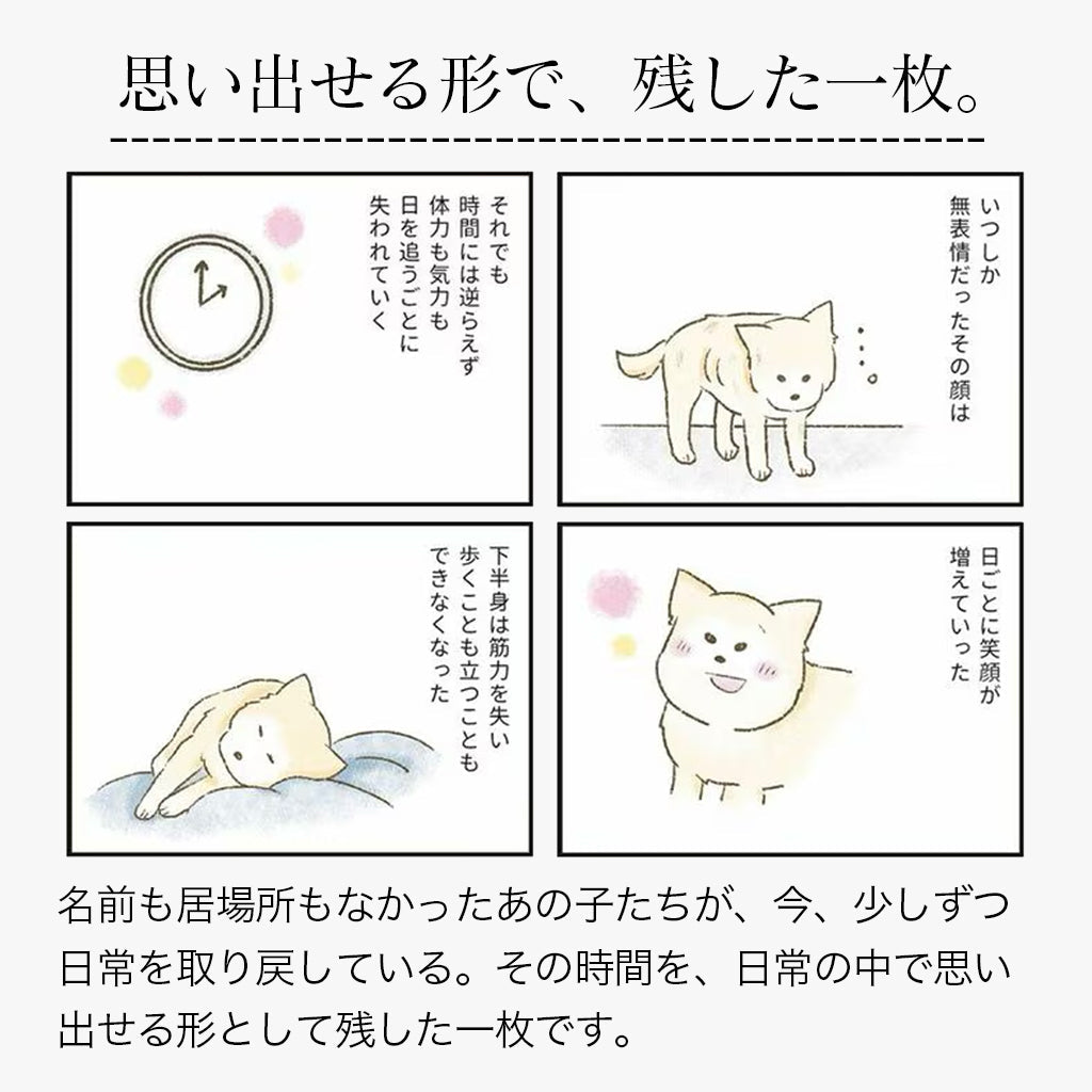 たまさんちのTシャツ初版ご予約特典付き（コットン100%）
