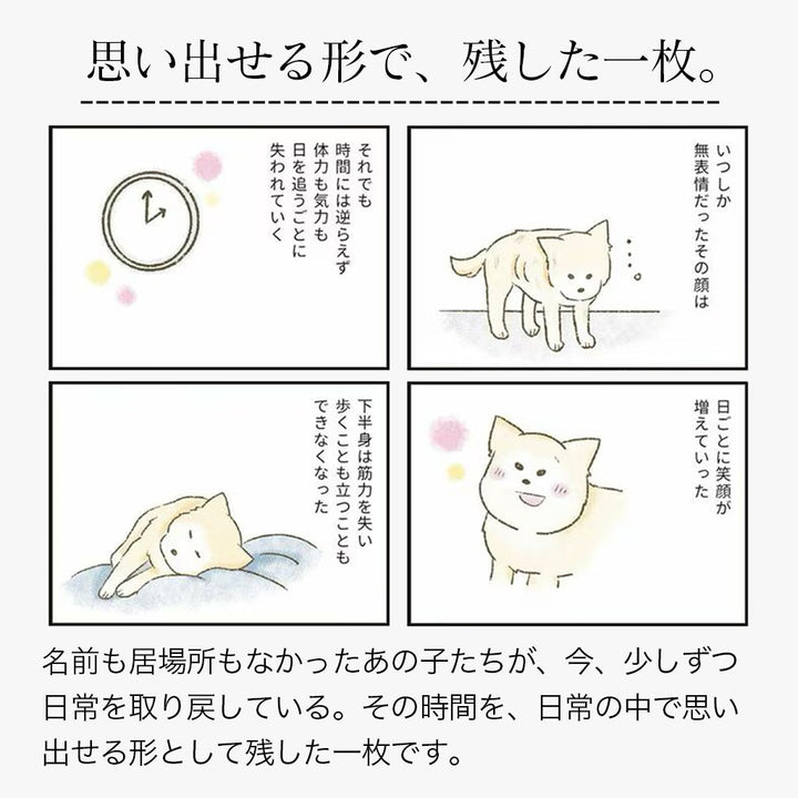 たまさんちのTシャツ初版ご予約特典付き（コットン100%）
