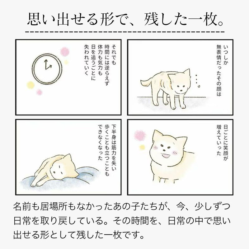 たまさんちのTシャツ初版ご予約特典付き（コットン100%）