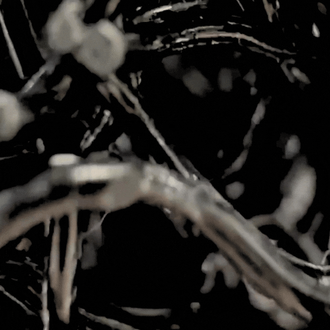 【受注生産】エアリュクスコア：マシュマロクッションメンバー限定 7月発送予定