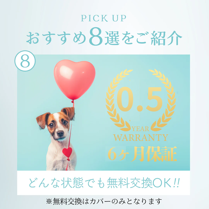 ケアリュクスアイス