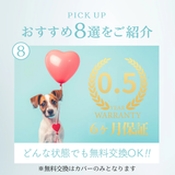 ケアリュクスアイス