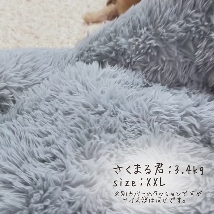 【北米進出記念特別価格】カフェモカ限定！Care Luxe（ケアリュクス）※発送は12月24日頃から順次