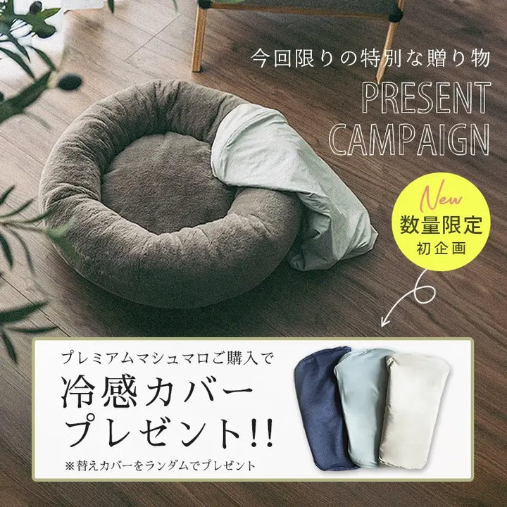 冷感カバープレゼントキャンペーン