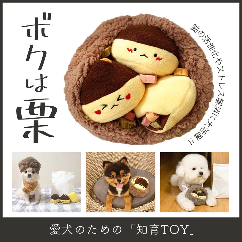「ボクは栗」Dog Nose Work Toy 【犬の知育玩具】-