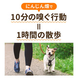 【知育玩具】キャロット　にんじん畑 ノーズワーク