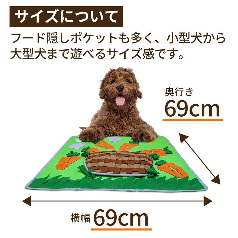 【知育玩具】キャロット　にんじん畑 ノーズワーク