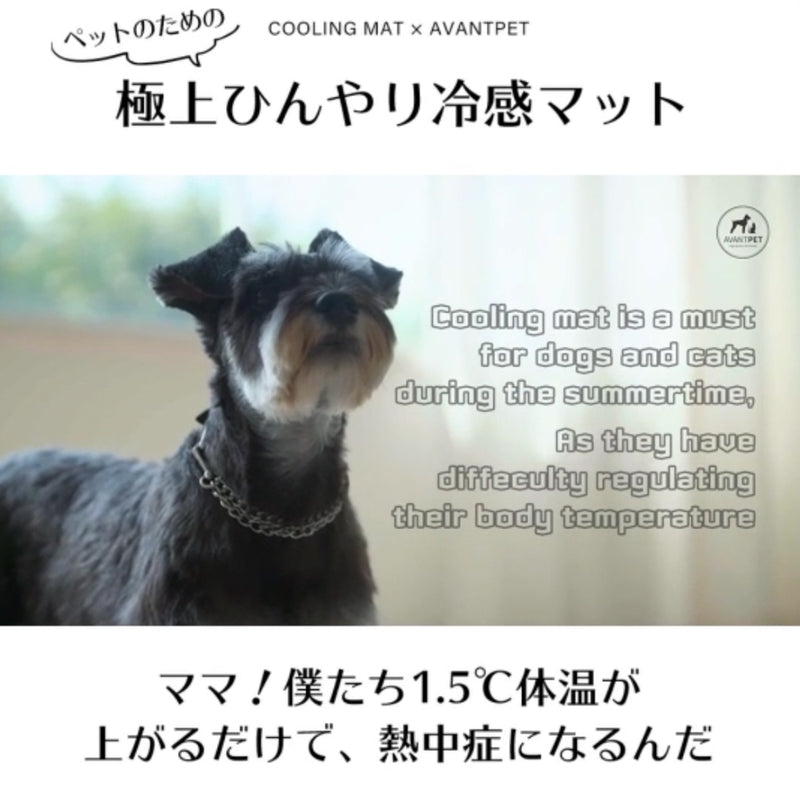 design Mat-S-ちわわ（Gray）