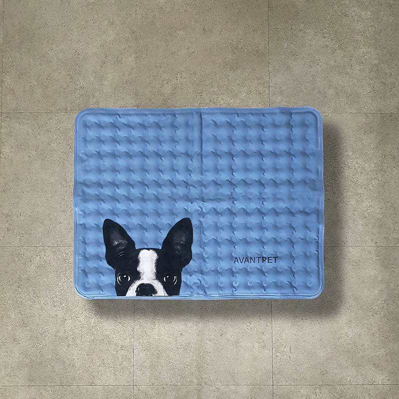 design Mat-M- ボストンテリア