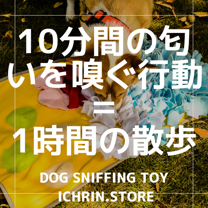 【犬の知育玩具】Dog Sniffing Toy ノーズワーク Colorful