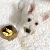 「ボクは栗」Dog Nose Work Toy 【犬の知育玩具】-