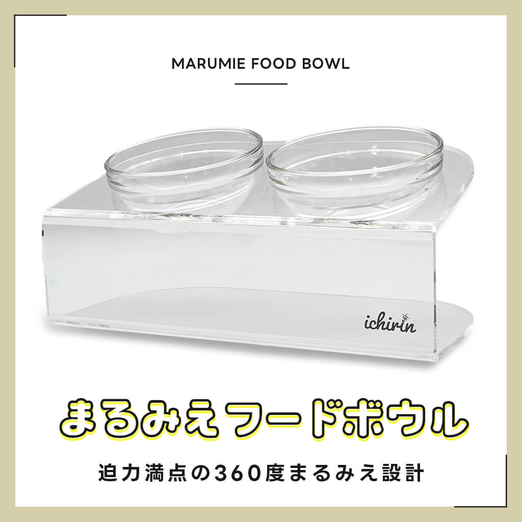 まるみえフードボウル
