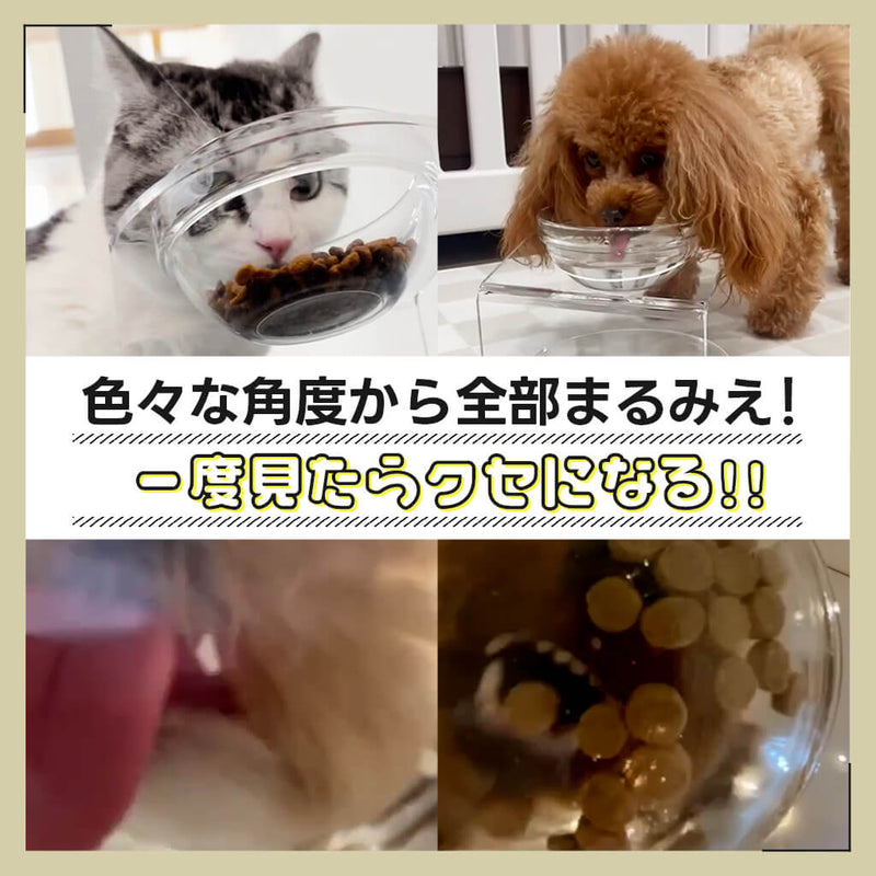 まるみえフードボウル