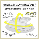 まるみえフードボウル