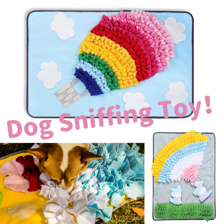 【犬の知育玩具】Dog Sniffing Toy ノーズワーク Colorful